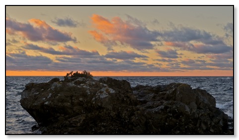 hairDO sunset